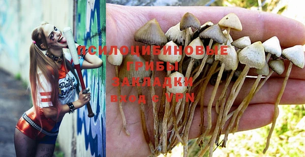 трава Алексин