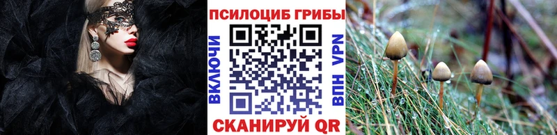 Псилоцибиновые грибы GOLDEN TEACHER  мега маркетплейс  Ахтырский 